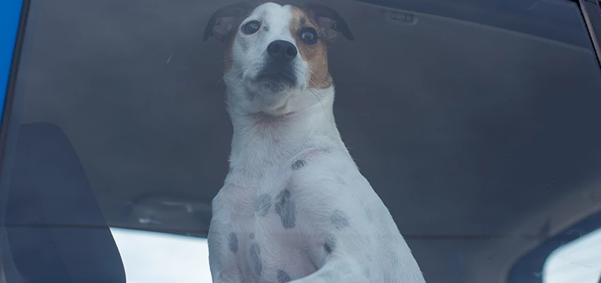 Car Lockout Solutions in Desert Palms, California